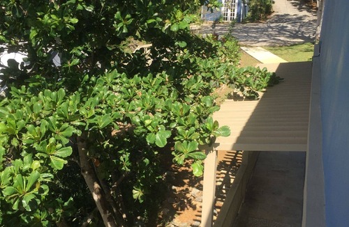 Mafolie Apartment | Villa Indigo 1BR in Private Gated Estate