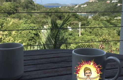 Monte Villa | Westin St. John - luxury villa on Great Cruz Bay