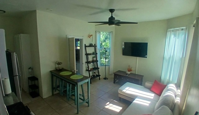 Adorable 1-bedroom apart W/ FREE SUV in charming St Thomas