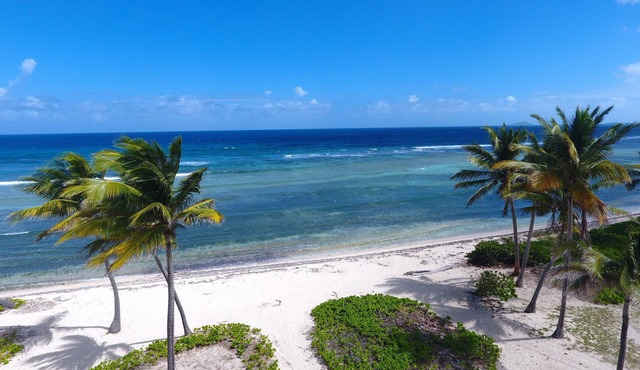 Beachfront Pelican Cove Penthouse Condo
