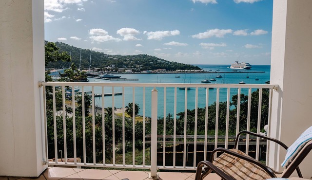 Cozy Studio in St. Thomas w/Balcony Views in Charlotte Amalie