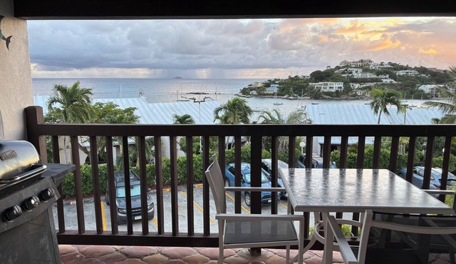 Gorgeous 4-bdr Cowpet Bay Waterfront condo, steps from Beach