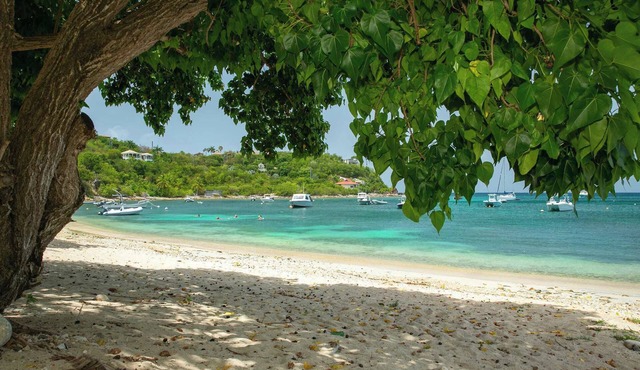 Nautilus | Beach Front, 3 King Suites | by BookVI in Cruz Bay