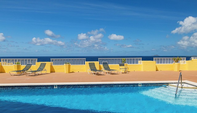 Oceanview Condo, Pool, Parking-Beaches &Island attractions minutes away in Christiansted