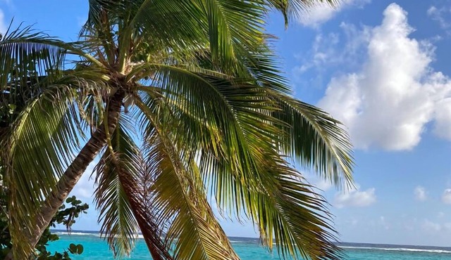 Sea La Vie
