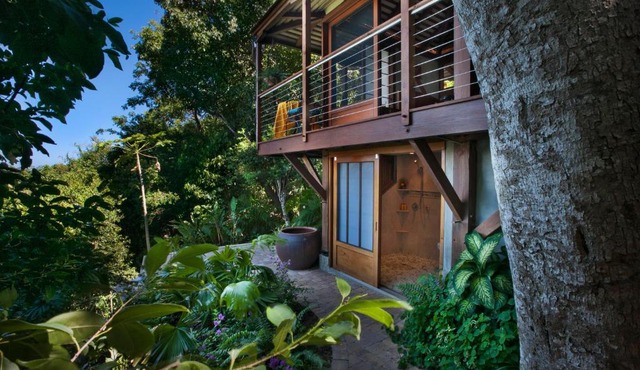 Secluded Romantic Oasis in St. John — Welcome to Teahouse Treehouse! in Coral Bay