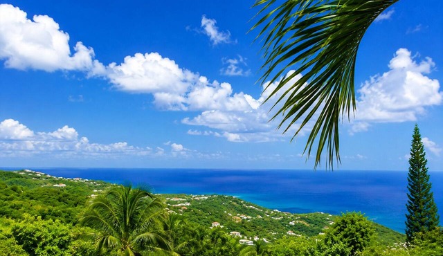 Spacious, quiet & comfortable 4 queen size beds with AC in beautiful St Croix. in St Croix