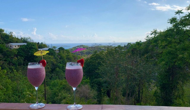 Takin' it Breezy - New Private 1 Bedroom Apartment in Cruz Bay
