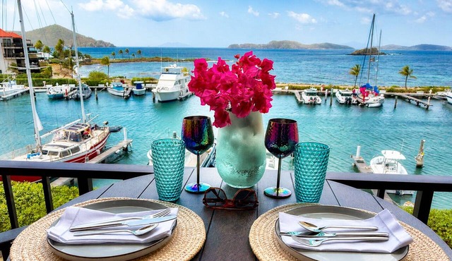 Updated: Luxe Condo steps from Sapphire Beach! in St Thomas