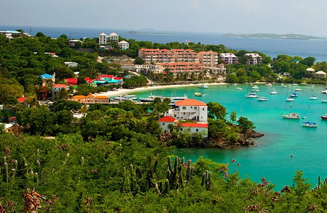 2 Bedroom Villa - Westin St. John Coral Vista Villas - Full Resort Access