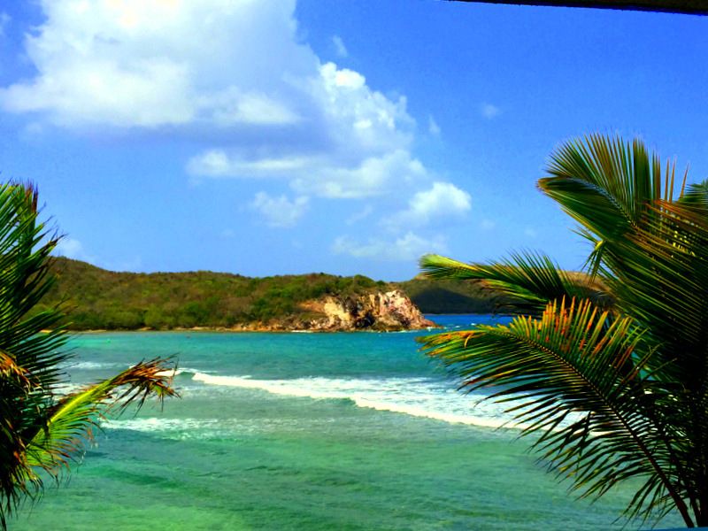 Photo of Outdoor in Bolongo Bay
