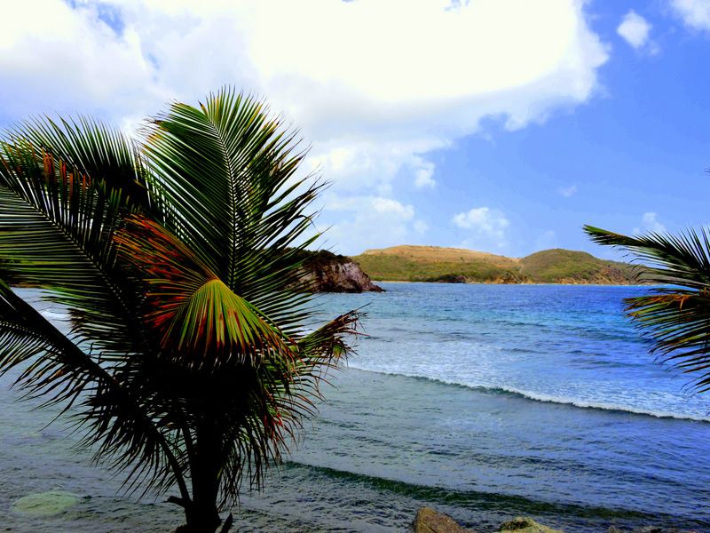Photo of Outdoor in Bolongo Bay