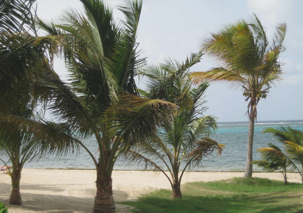 Photo of Outdoor in Estate Golden Rock