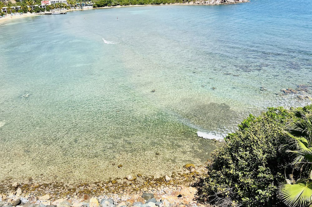 Photo of Outdoor in Estate Bolongo