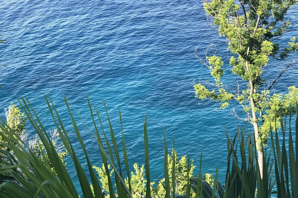 Photo of Others in Great Cruz Bay