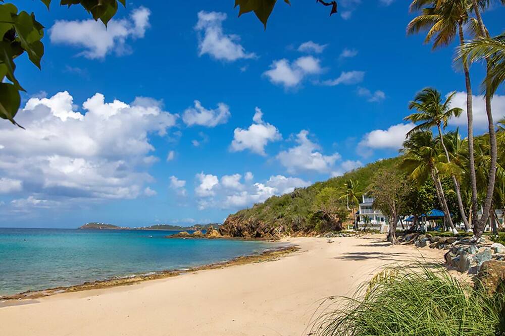 Photo of Others in Bolongo Bay