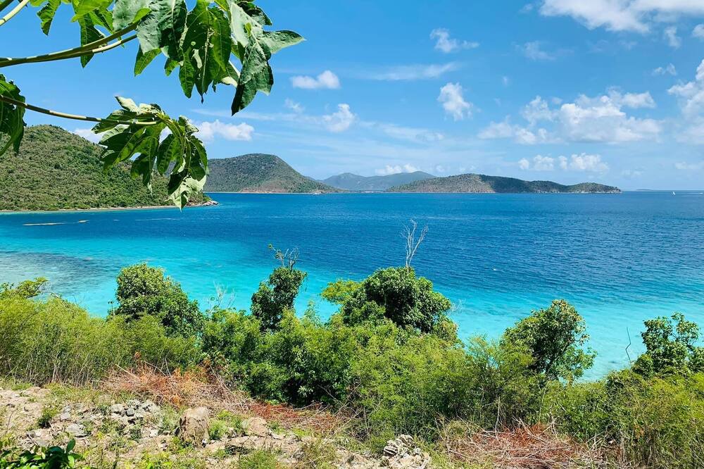 Photo of Others in Great Cruz Bay