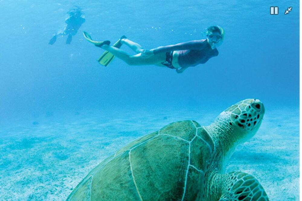 Photo of Others in Great Cruz Bay