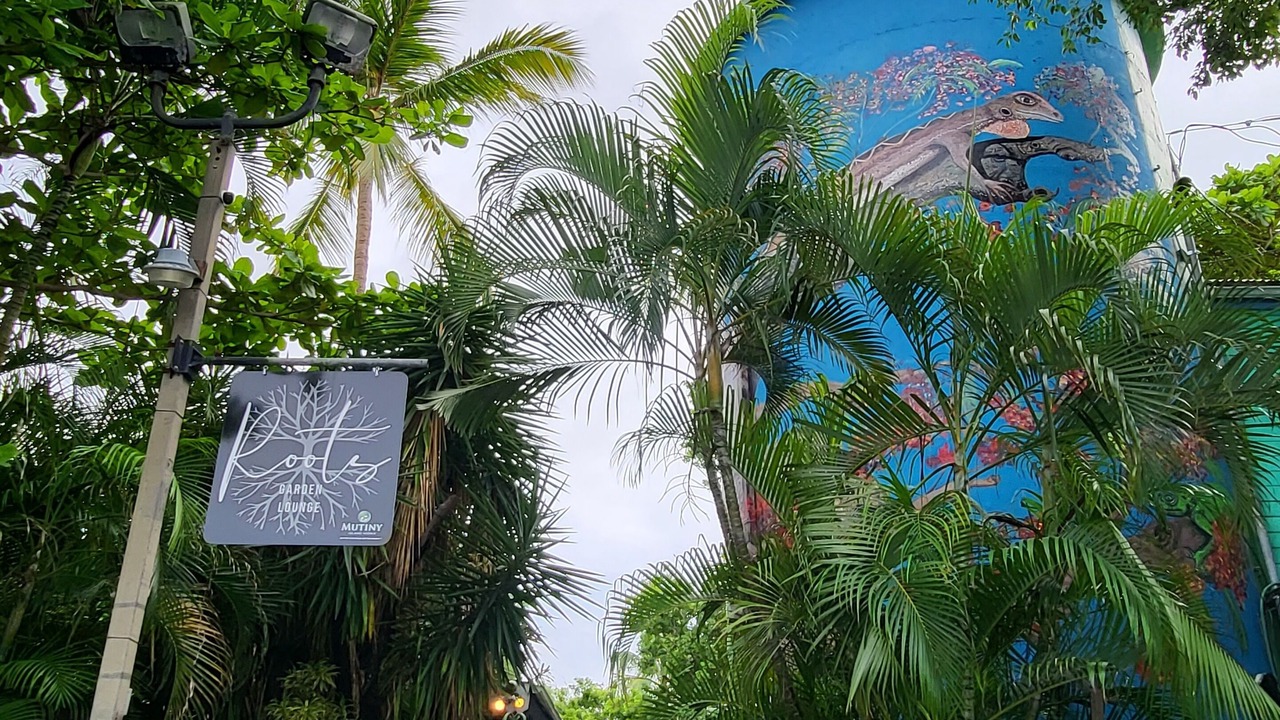 Photo of Outdoor in Estate Charlotte Amalie