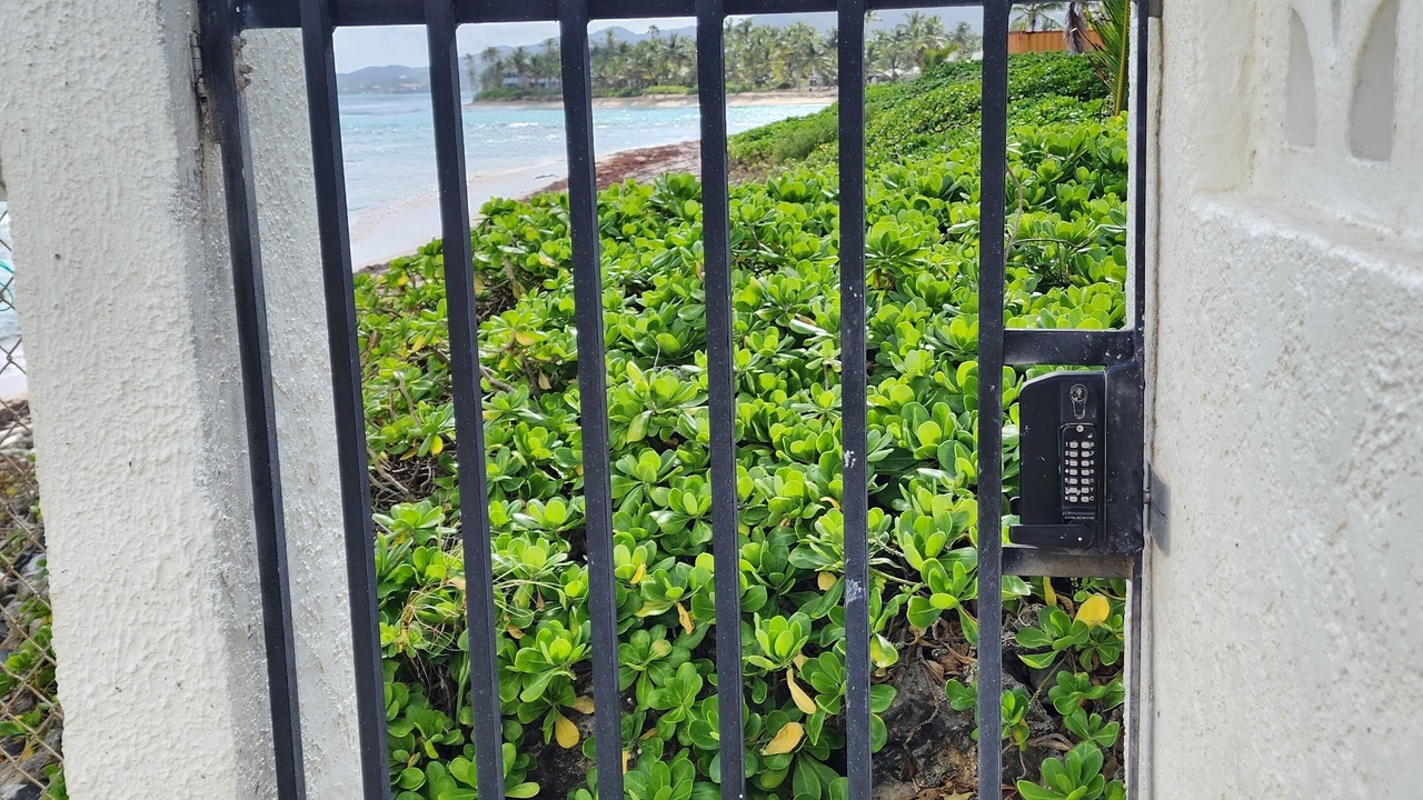 Photo of Others in Christiansted
