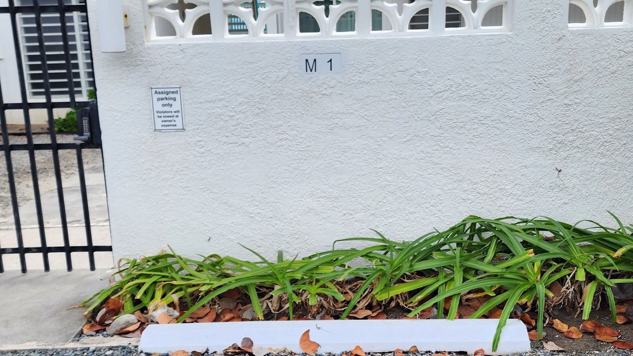 Photo of Outdoor in Christiansted