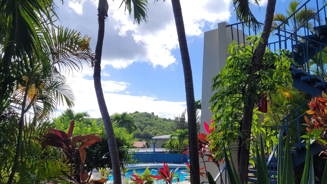 Photo of Outdoor in Orange Grove