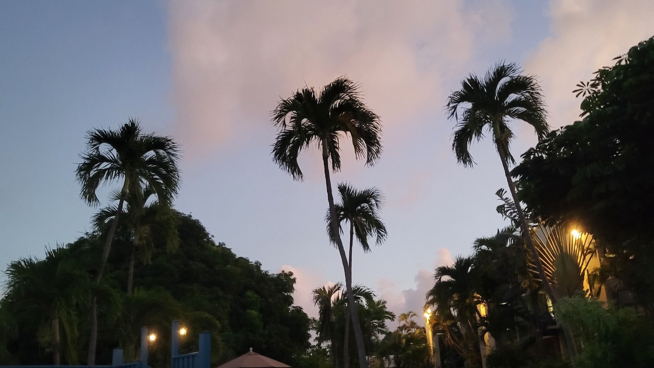 Photo of Outdoor in Orange Grove