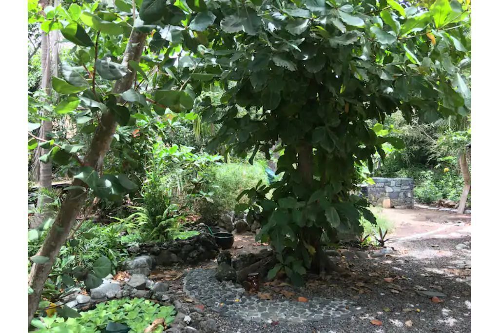 Photo of Outdoor in Contant Farms