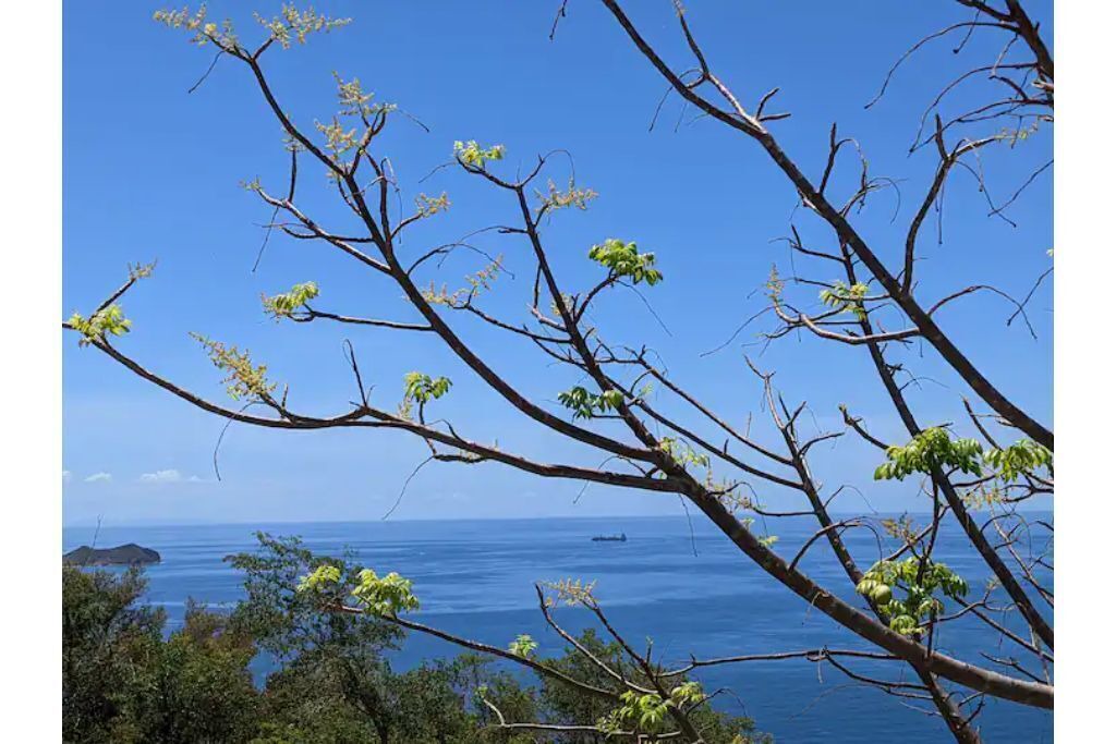 Photo of Outdoor in Estate Fortuna Hill