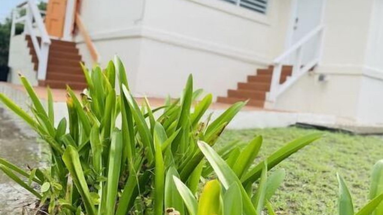Photo of Outdoor in Estate Mount Pleasant West