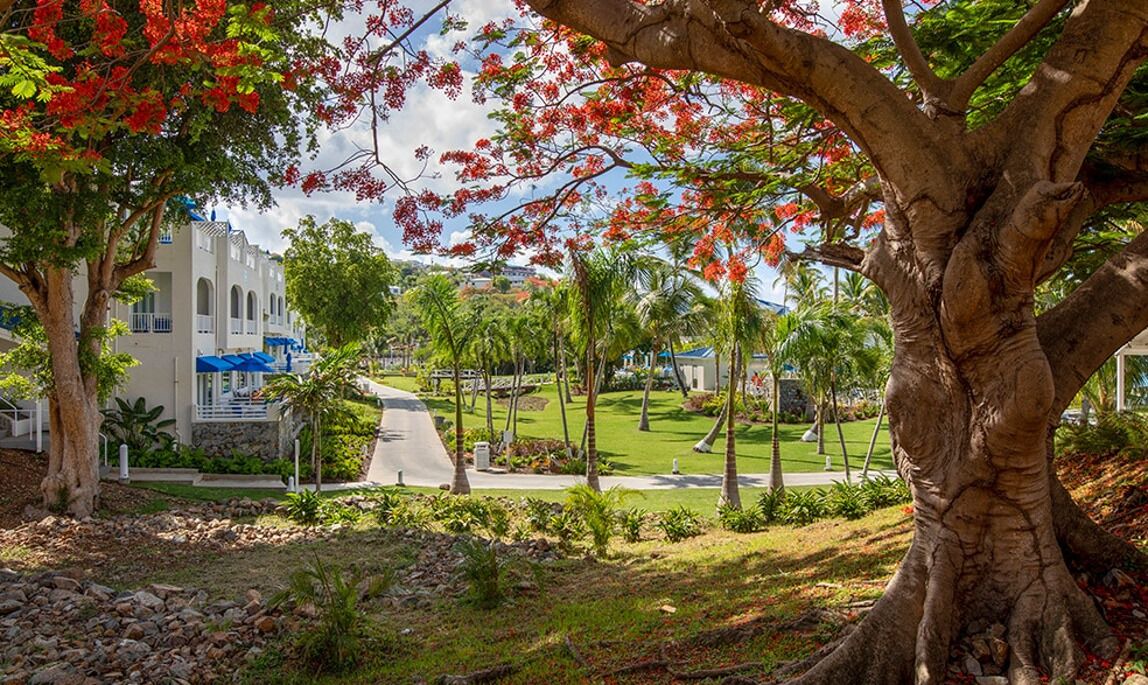 Photo of Outdoor in Estate Frenchman Bay