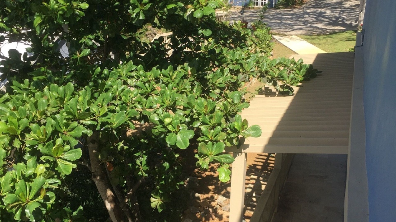 Photo of Outdoor in Mafolie