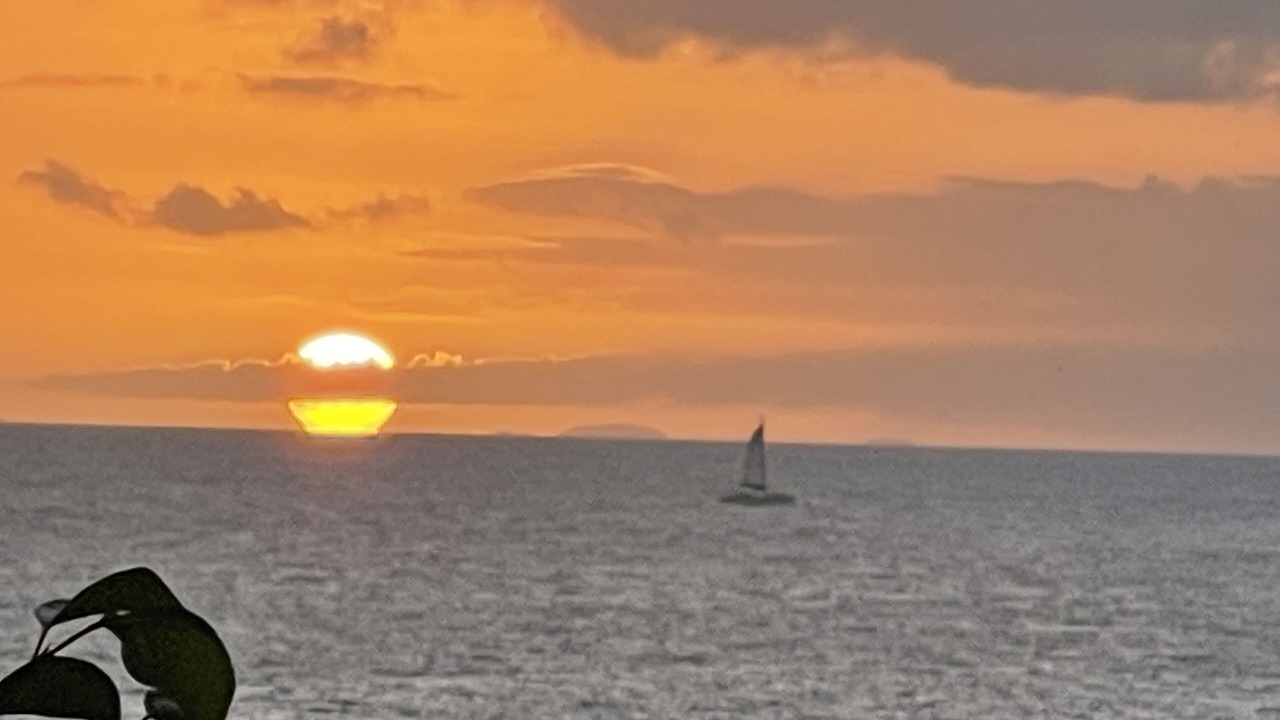 Photo of Others in Bolongo Bay