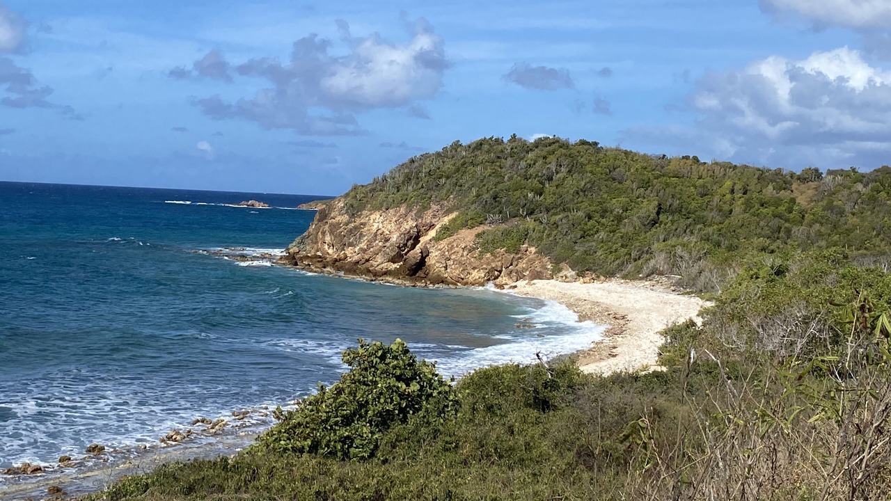 Photo of Others in Bolongo Bay