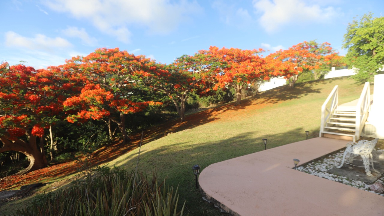 Photo of Outdoor in Estate Frenchman Bay