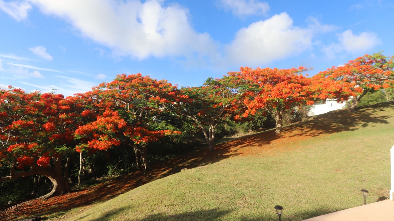 Photo of Outdoor in Estate Frenchman Bay