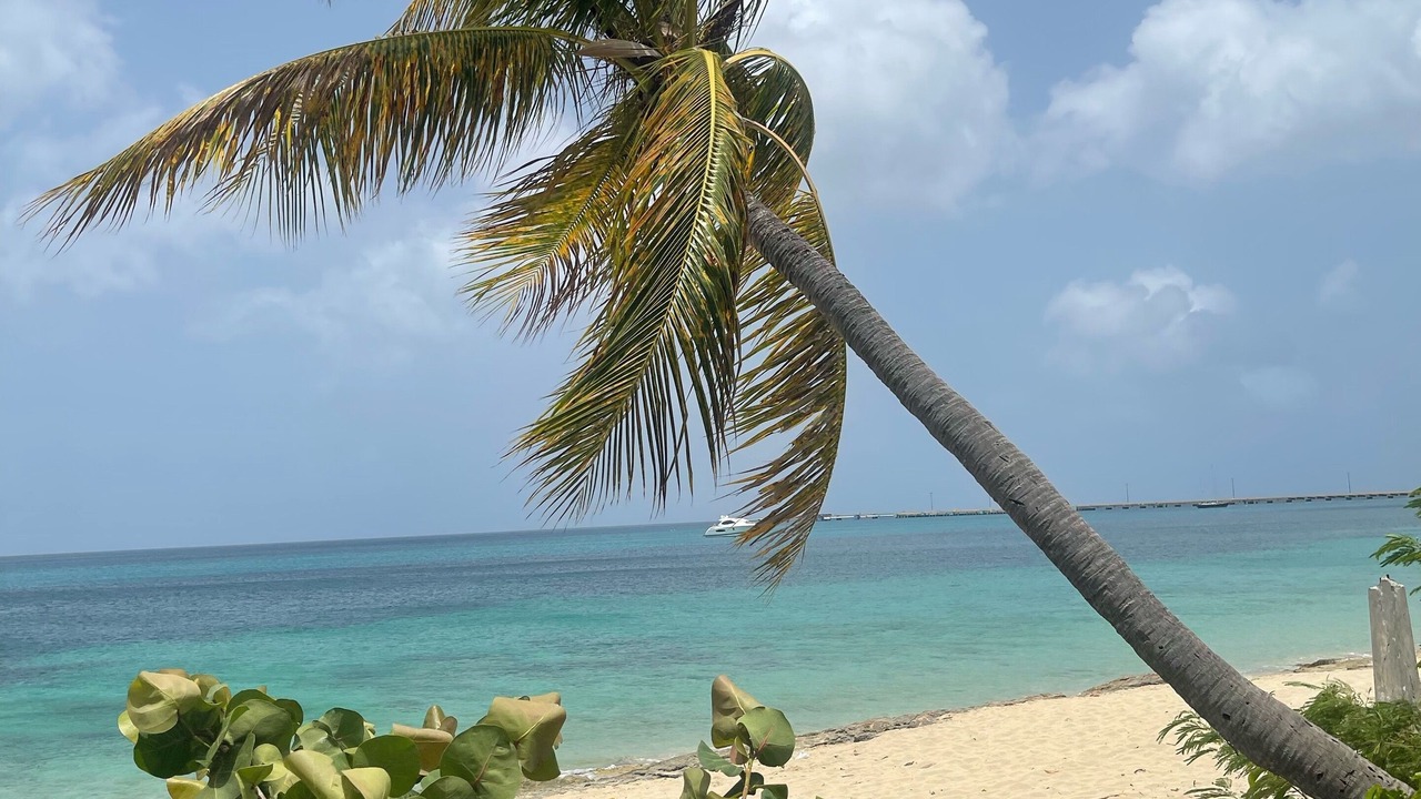 Photo of Others in Frederiksted Southeast