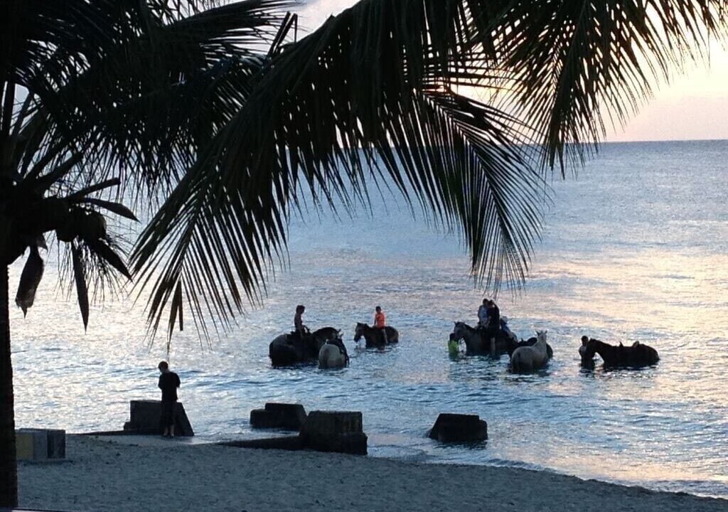 Photo of Outdoor in Frederiksted Southeast