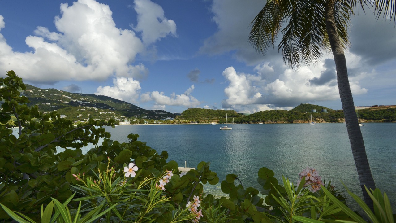 Photo of Outdoor in Charlotte Amalie West