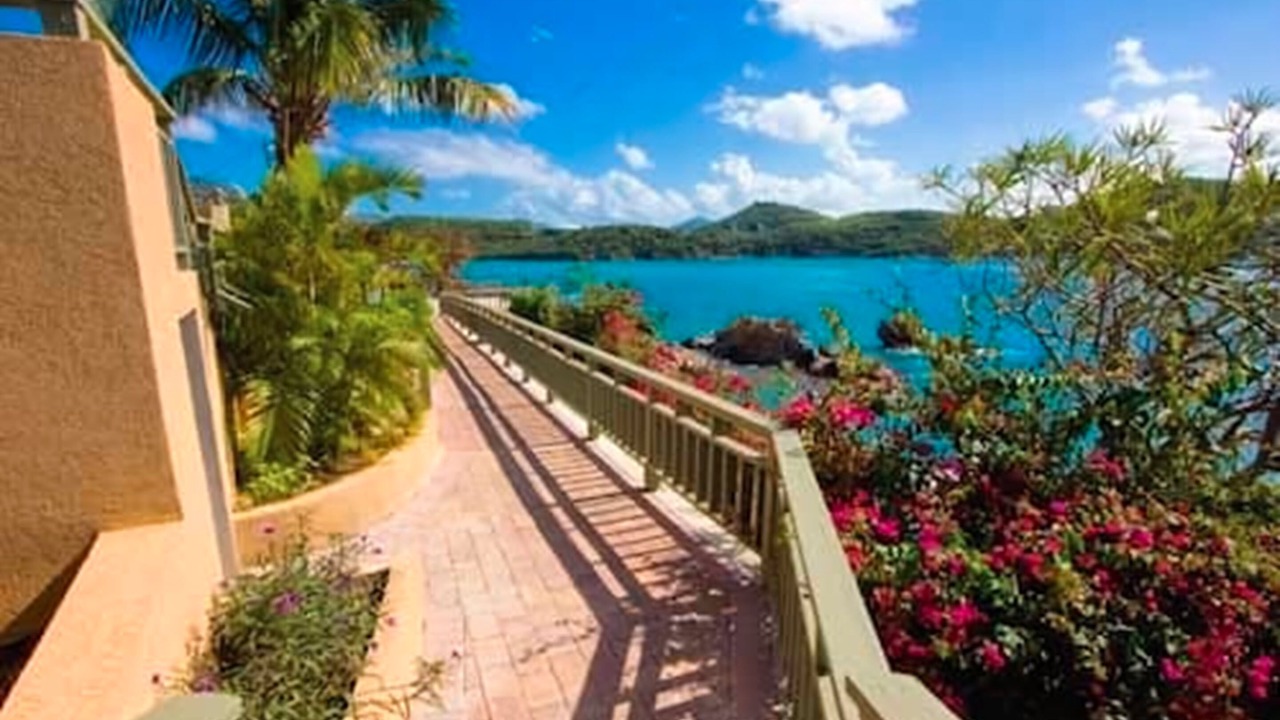 Photo of Others in Charlotte Amalie West
