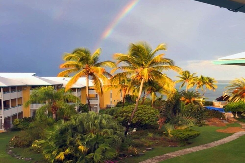 Photo of Others in Orange Grove