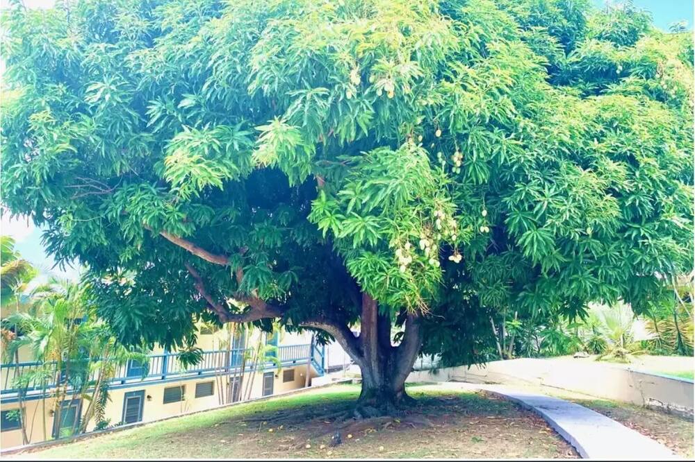 Photo of Outdoor in Orange Grove