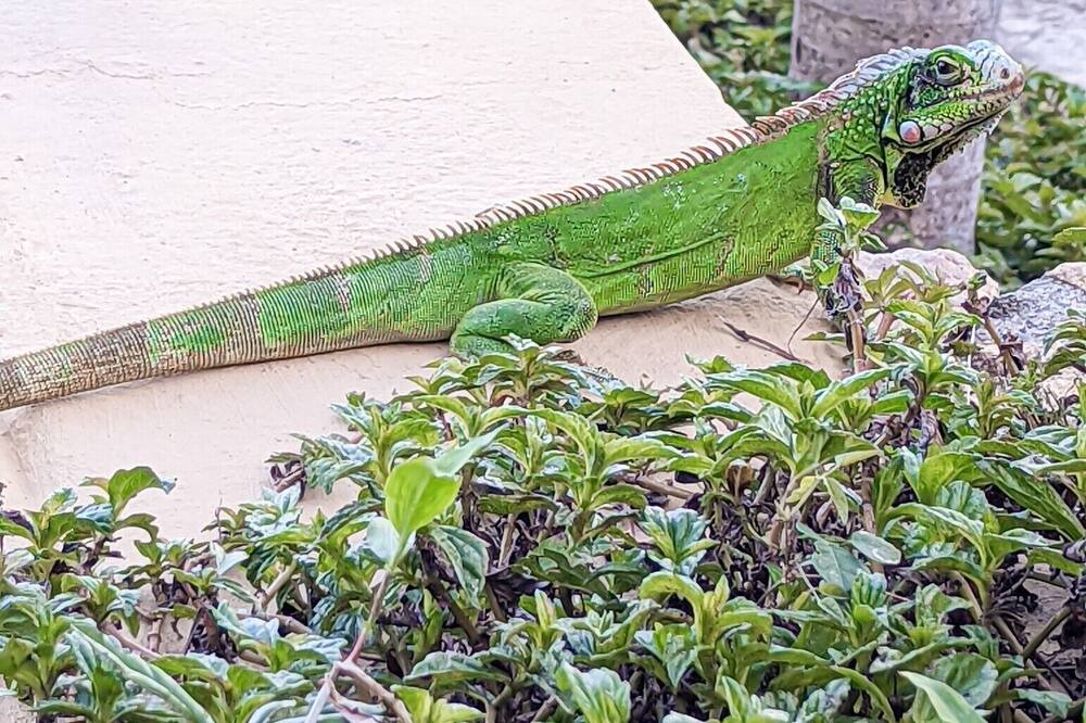 Photo of Outdoor in Orange Grove