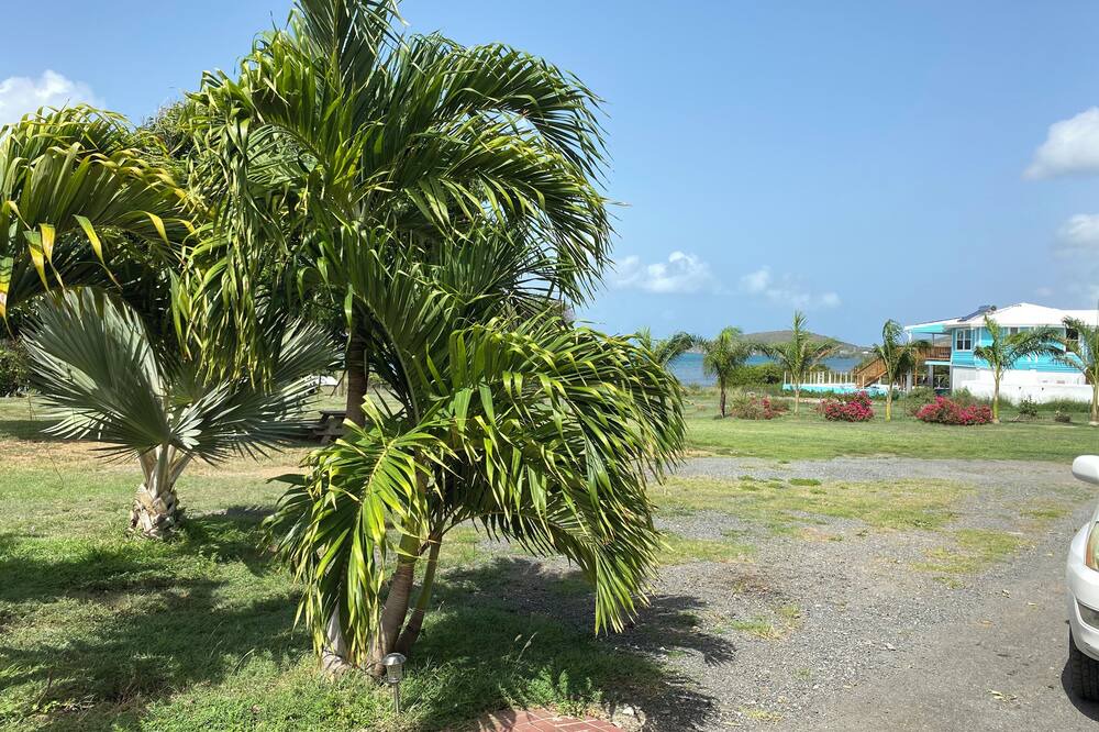 Photo of Outdoor in East End