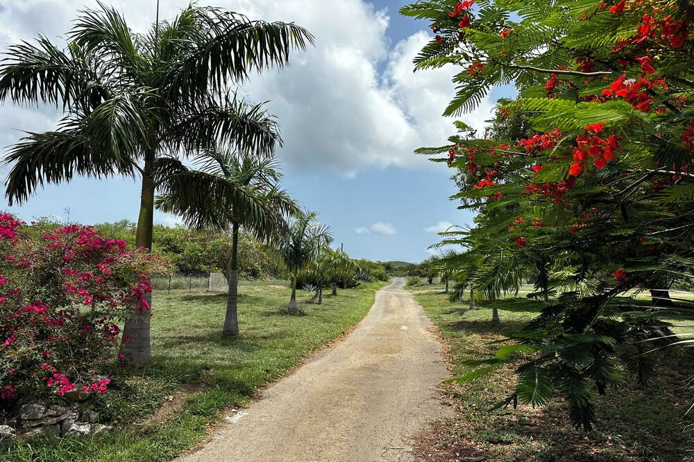 Photo of Outdoor in East End