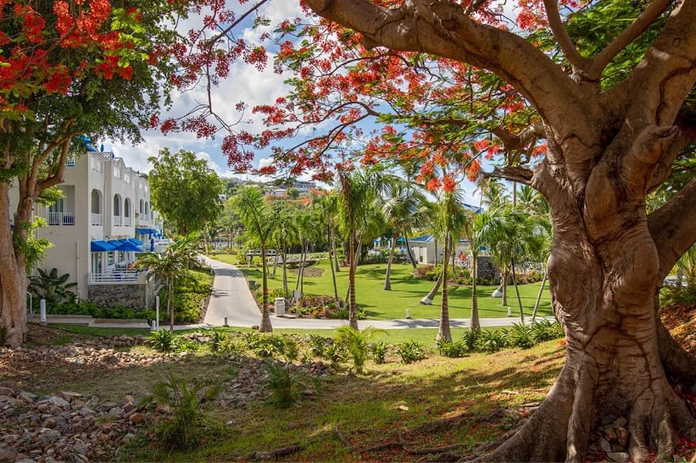 Photo of Outdoor in Flag Hill