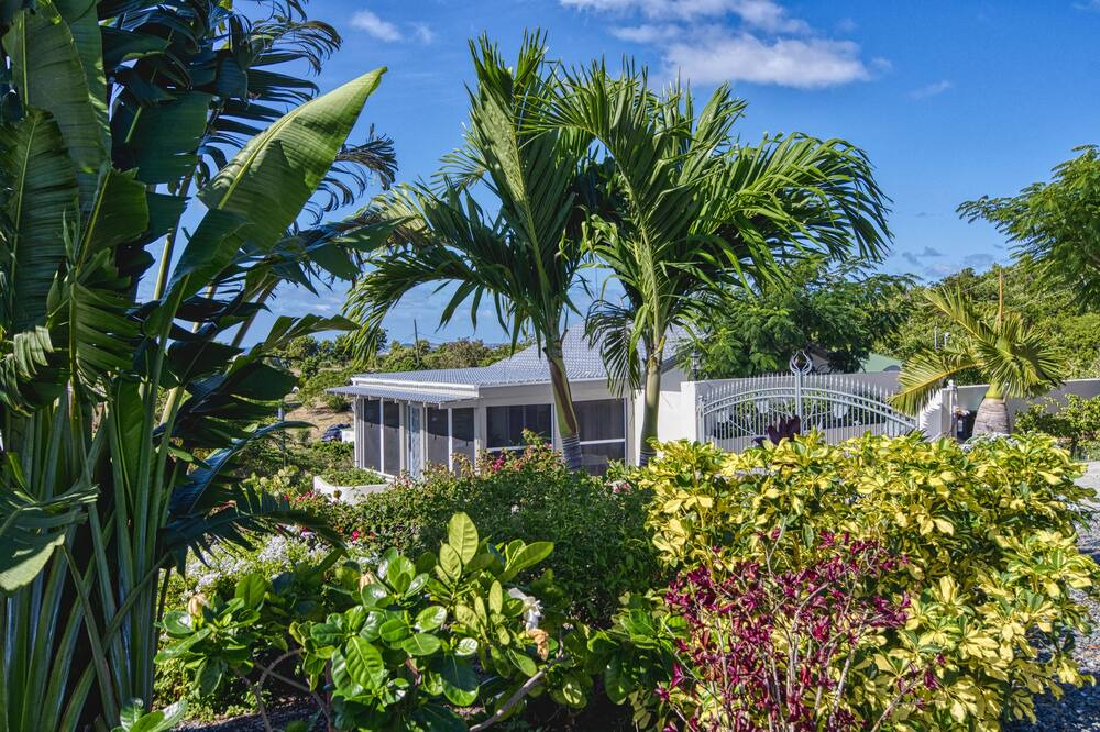 Photo of Outdoor in Estate Pastory
