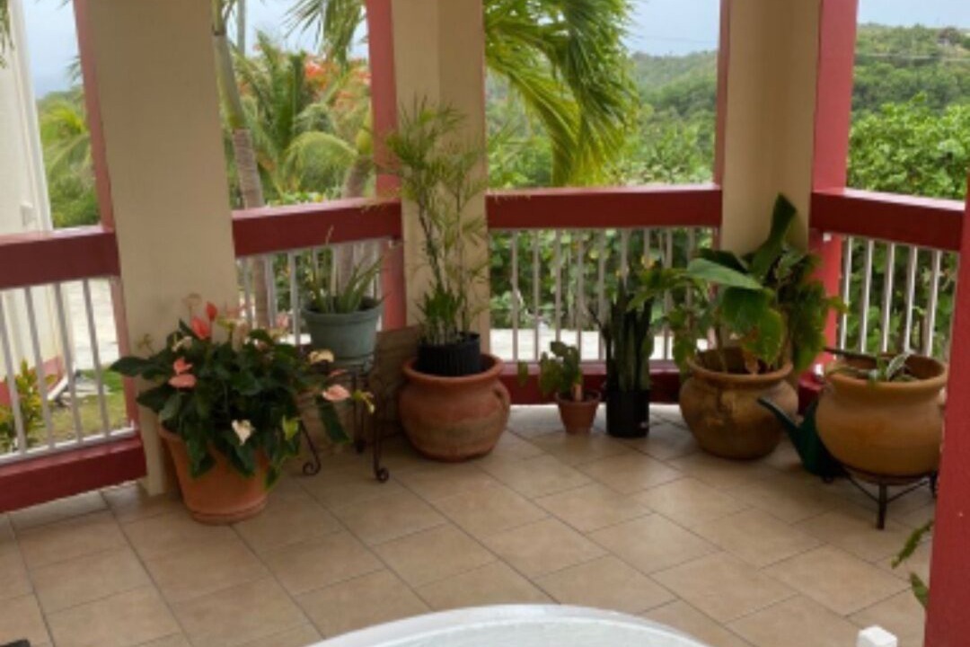 Photo of Patio Balcony in Estate Montpellier East