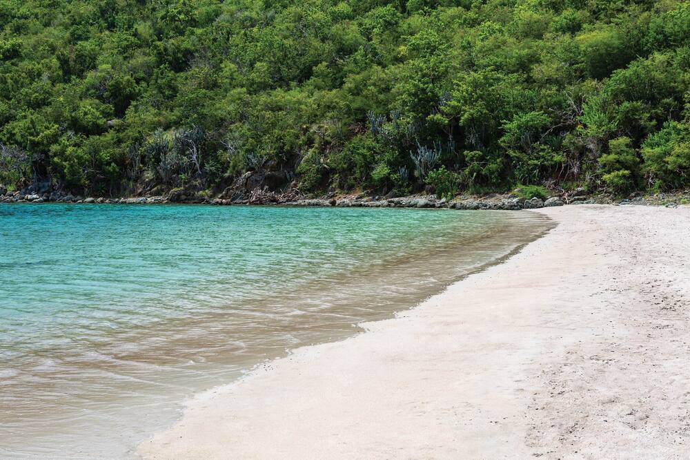 Photo of Others in Great Cruz Bay