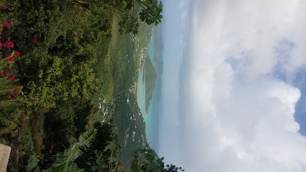 Photo of Others in Maho Bay Quarter